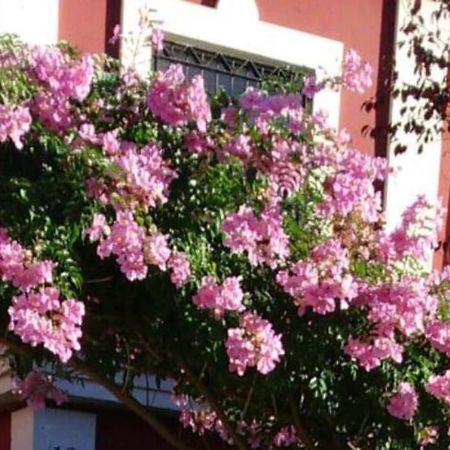 Villa Casa Bignonia Salteras Exterior foto