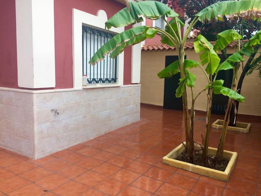 Villa Casa Bignonia Salteras Exterior foto