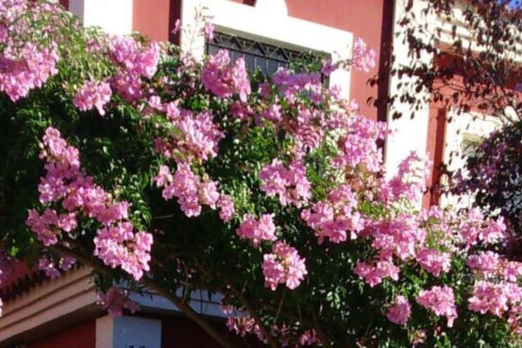 Villa Casa Bignonia Salteras Exterior foto